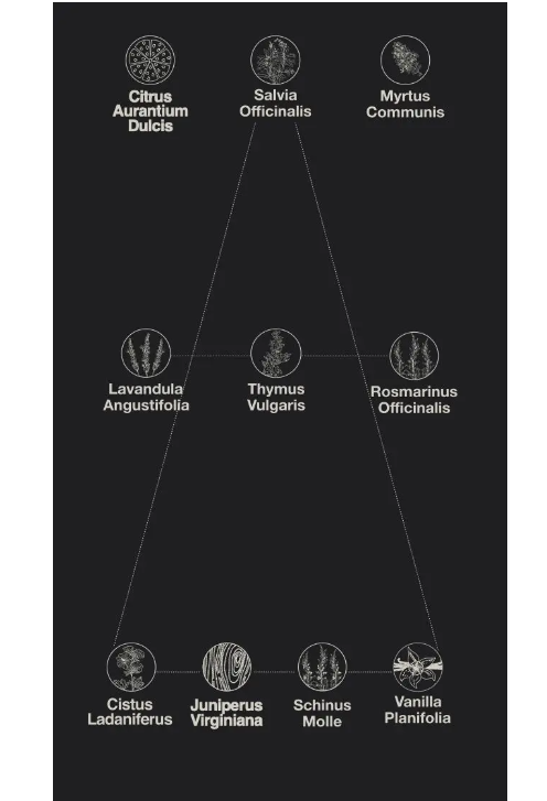 Own Way Profumo Unisex Bio 100 Ml