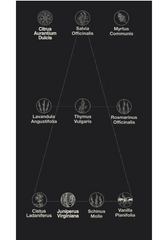 Own Way Profumo Unisex Bio 10 Ml