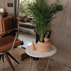 Oway Cono complemento per irrigazione domestica