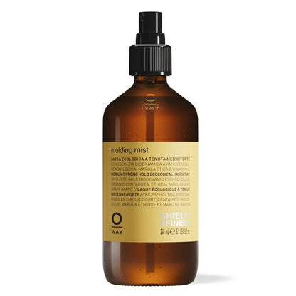 molding-mist 240 ml 